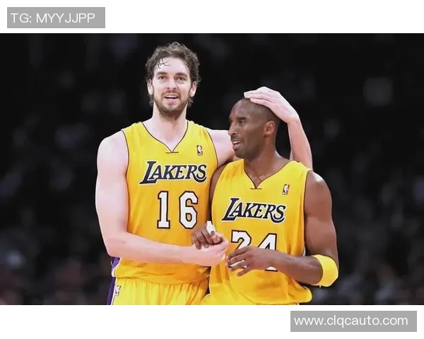 NBA球员伤病及对球队影响分析