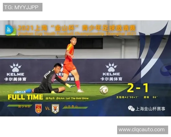 中国足球青训体系建设与发展趋势综合研究报告